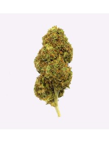 Flores CBD Strawberry 3,5g | Gorilla Grillz CBD