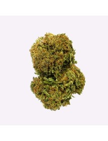 Flores CBD Amnesia 3,5g | Gorilla Grillz CBD