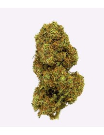Flores CBD Orange Cookies 3,5g | Gorilla Grillz CBD