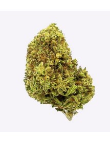 Flores CBD 10g | Gorilla Grillz CBD