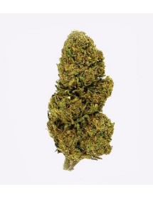 Flores CBD Lemon Haze 3,5g | Gorilla Grillz CBD