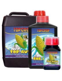 Top Auto