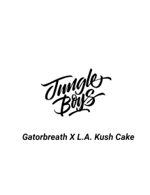 Jungle Boyz Seeds |...